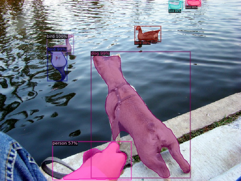 Dog and Birds Segmented